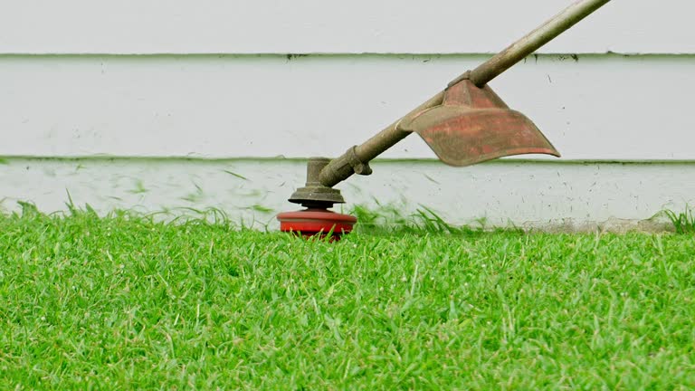 Best Tree Maintenance Programs  in Stephenville, TX